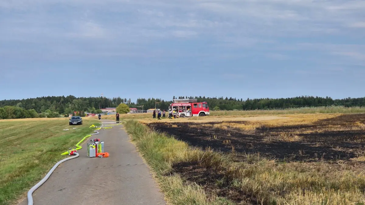 Traktorbrand und Flächenbrand Aichhalden