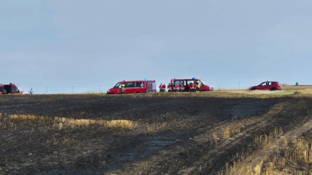 Traktorbrand und Flächenbrand Aichhalden
