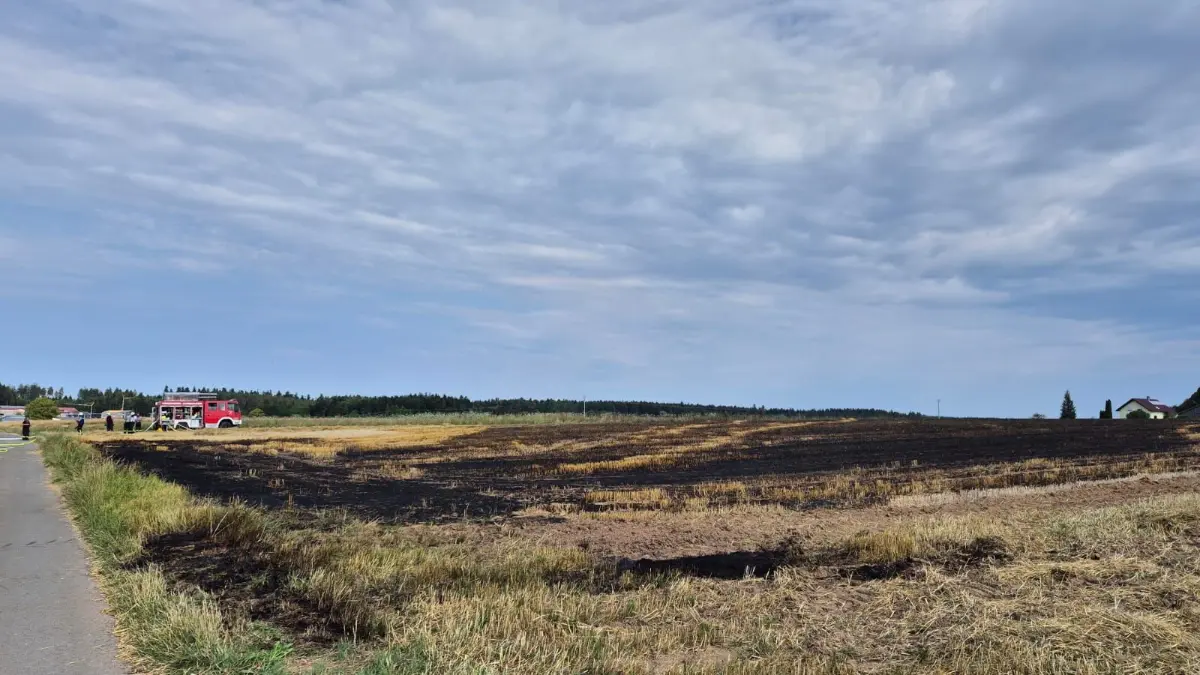 Traktorbrand und Flächenbrand Aichhalden