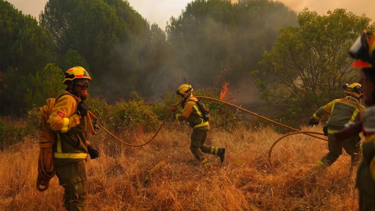 Brände in Spanien: 26.07.2026, Spanien, San Martín de Valdeiglesias: Feuerwehrleute bekämpfen einen Waldbrand. Spanien kämpft gegen zahlreiche Waldbrände. Wegen der schweren Feuer rief die Regierung für die Umgebung der Hauptstadt Madrid sowie für die Region Ávila den Notstand aus. Foto: Manu Fernandez/AP/dpa +++ dpa-Bildfunk +++