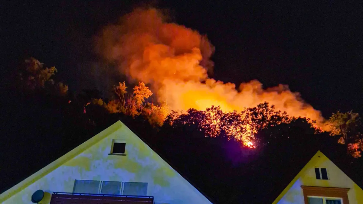 Waldbrand in Oppenau. Ein Waldgebiet von rund 3.000 Quadratmetern steht in Flammen.