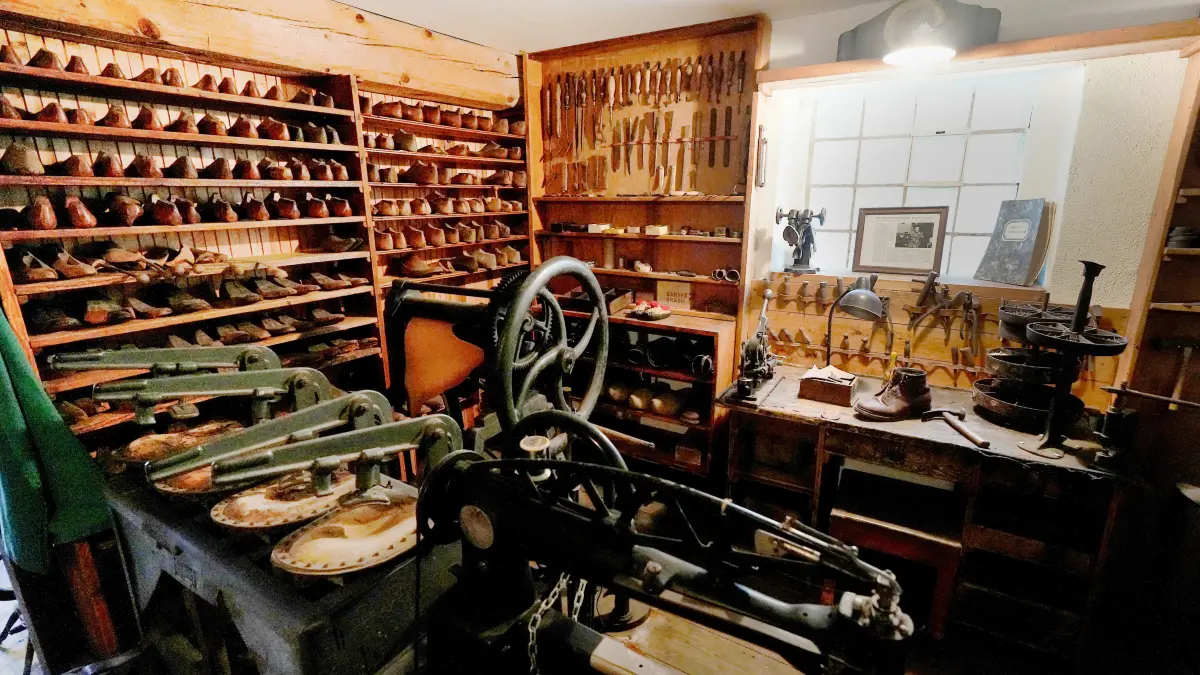 Dormuseum