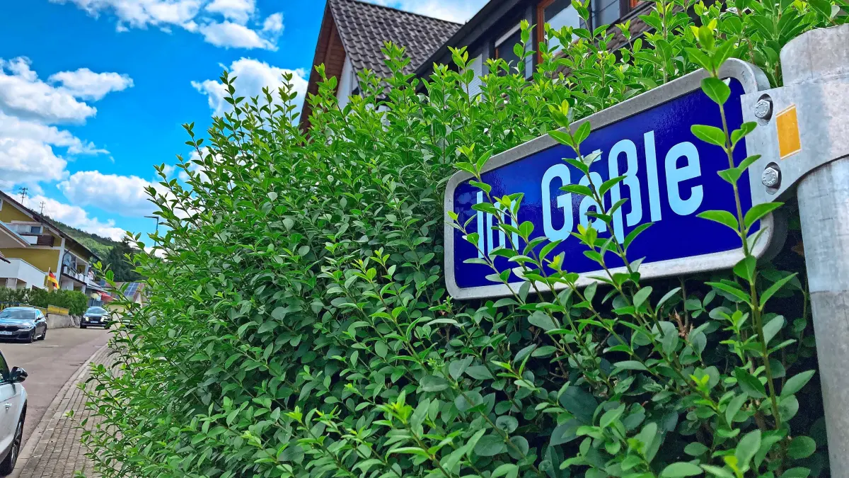 Die Gewalttat spielte sich am Montagmorgen in der Oberweierer Straße „Im Gäßle“ ab.