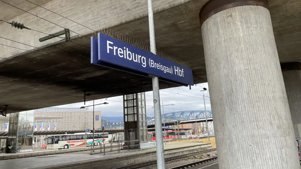 Ein Mann hat am Freiburger Hauptbahnhof randaliert. (Symbolfoto)