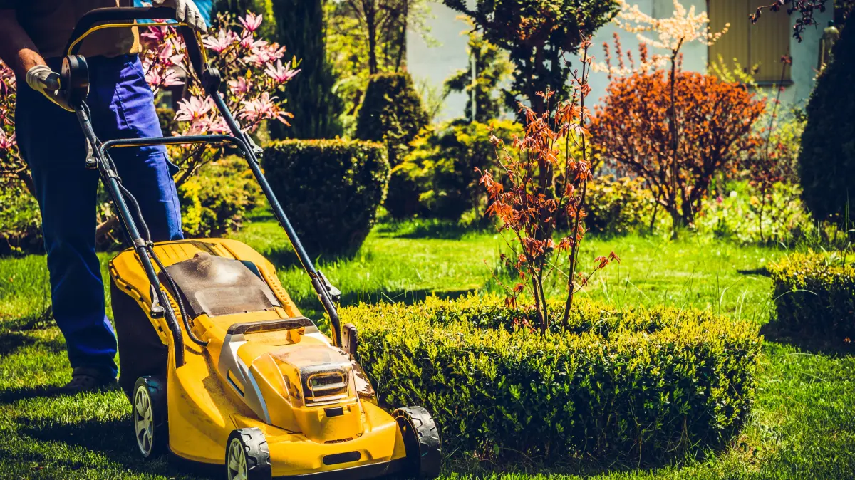Die Erledigung von Haus- und Gartenarbeiten, die zu erheblichen Belästigungen der Nachbarn führen können, ist künftig nur noch in der Zeit von 20 bis 7 Uhr untersagt.