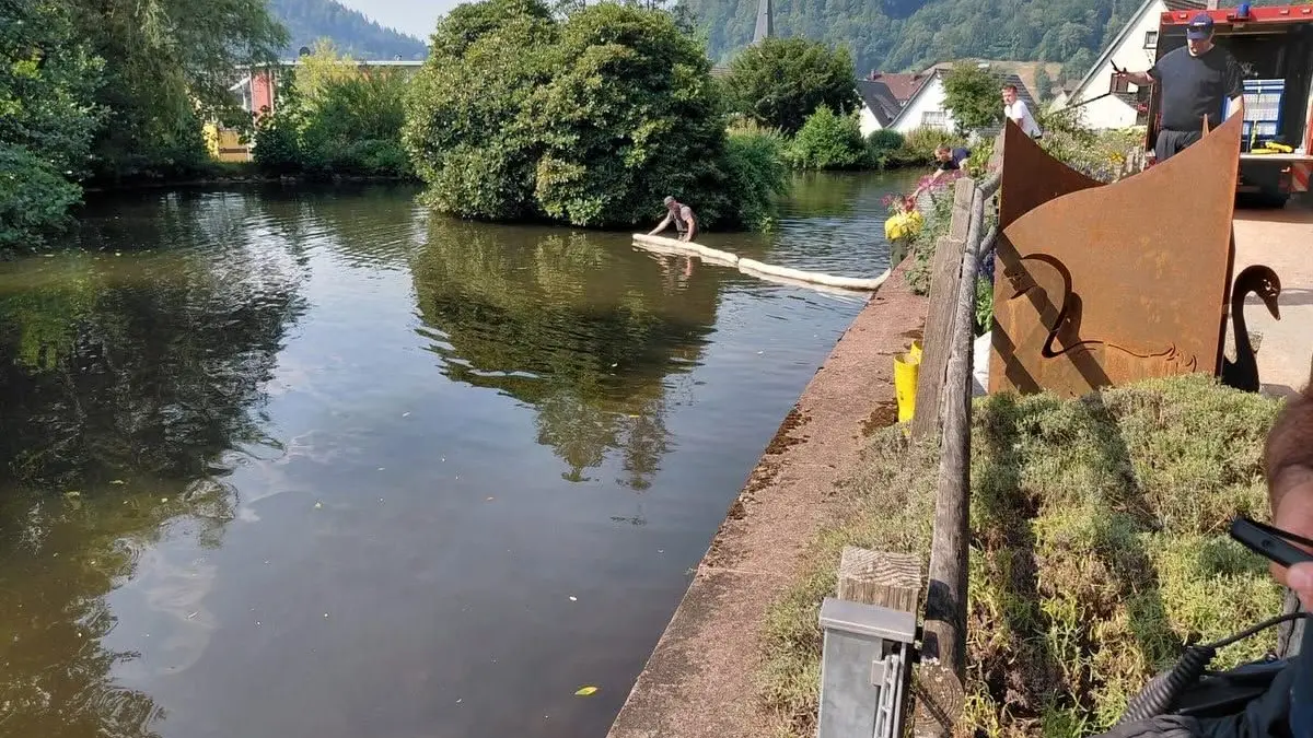 Auf dem Weiher wurden Ölsperren ausgebracht.