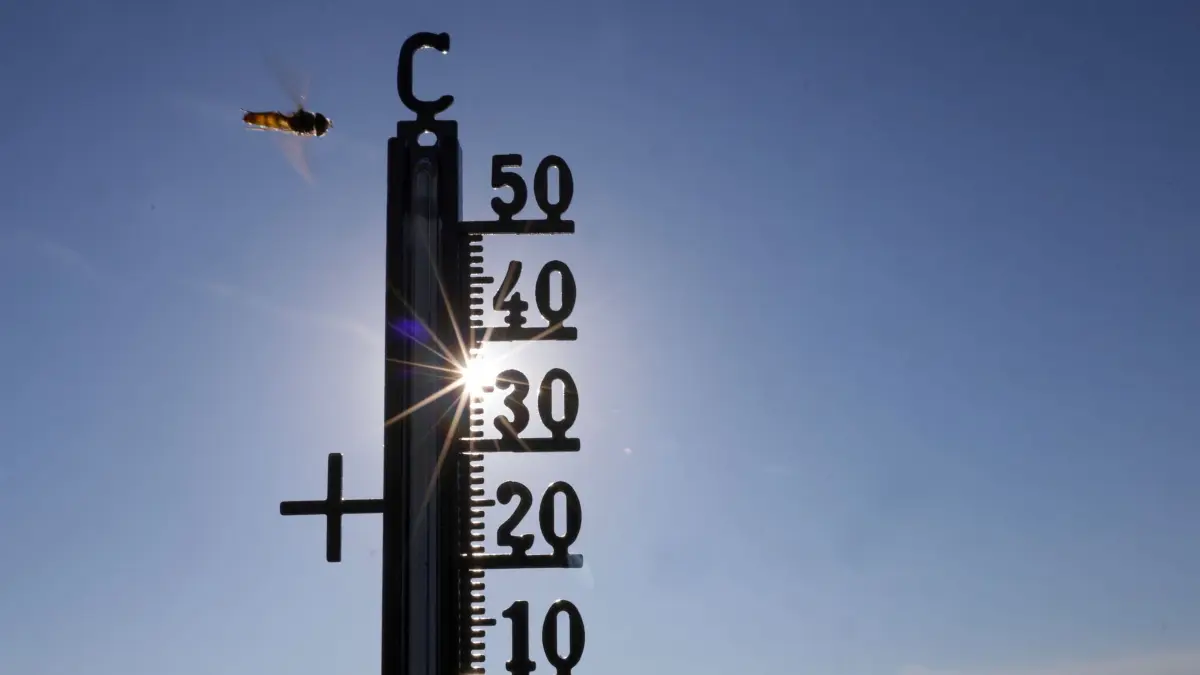 Hitze und Klimawandel: ARCHIV - 21.06.2026, Baden-Württemberg, Riedlingen: Die Sonne scheint hinter einem Thermometer, an dem eine Schwebefliege vorbeifliegt. (zu dpa: «Nächste Hitzewelle rollt an - so heiß wird es diese Woche») Foto: Thomas Warnack/dpa +++ dpa-Bildfunk +++
