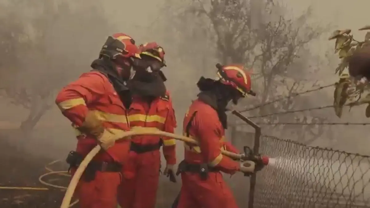 Spanische Feuerwehrmänner mit Atemschutzmasken bekämpfen einen Waldbrand bei Nava del Rey nahe Madrid.