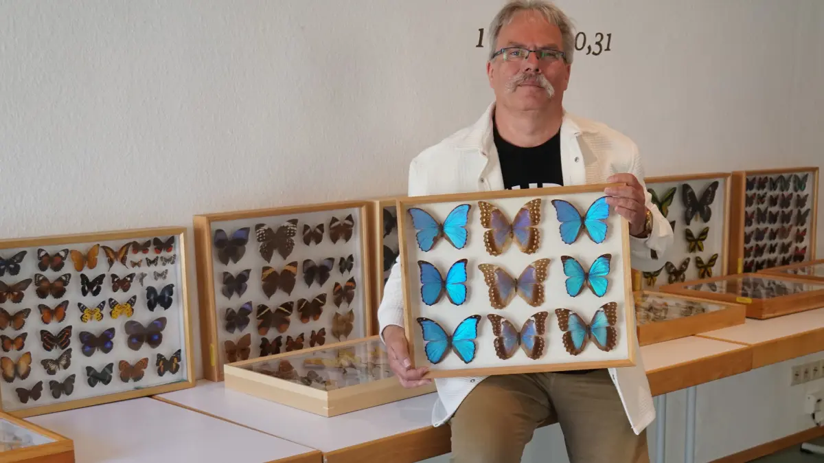 Einblicke in die Welt der Schmetterlinge und Insekten gewährt Martin Huster mit seiner Ausstellung am 1. August in der Schwarzwaldmühle Besenfeld.