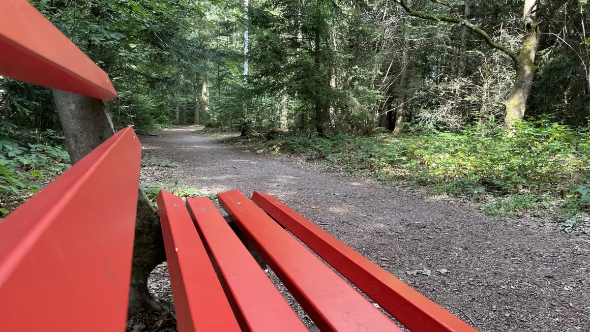 Sitzbank Königsfeld