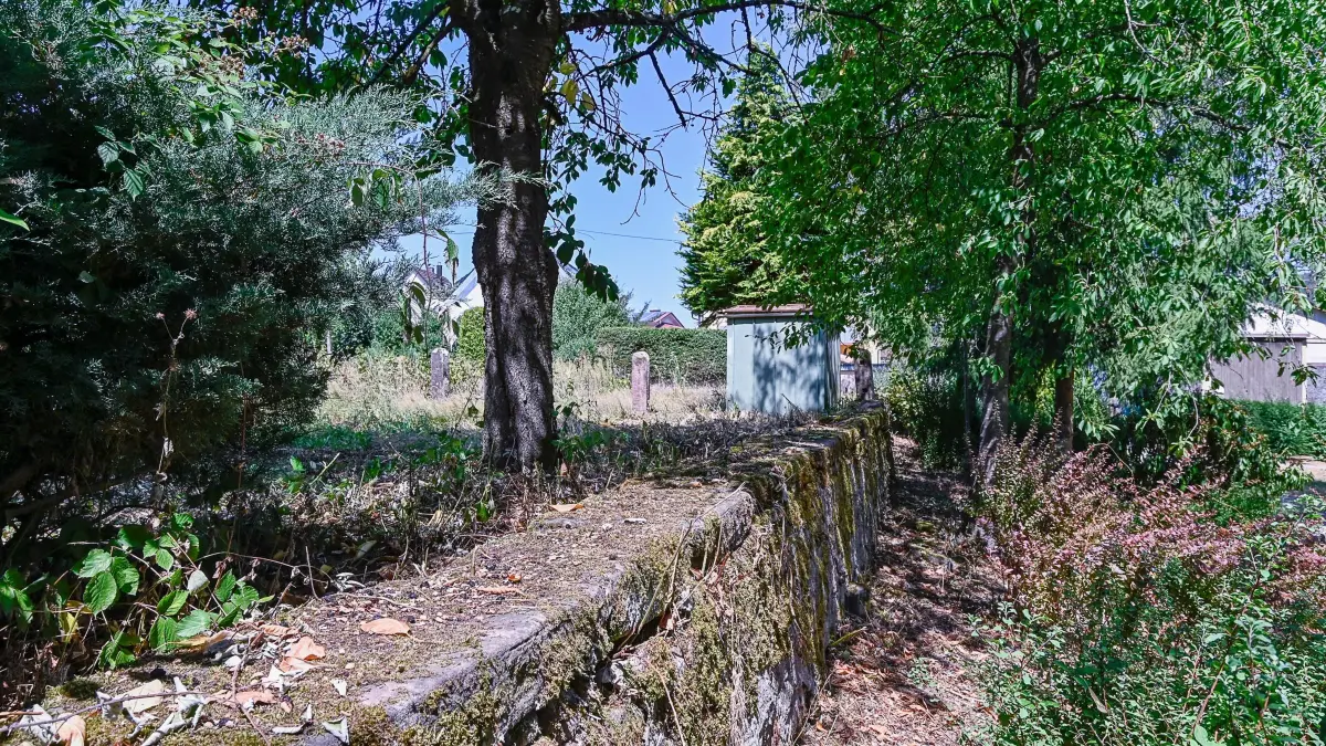 Die denkmalgeschützte Mauer trennt den ehemaligen Pfarrgarten vom Modoscher Park.