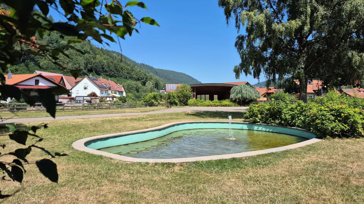 Für großen Diskussionsbedarf sorgt der Flößerpark in Calmbach.