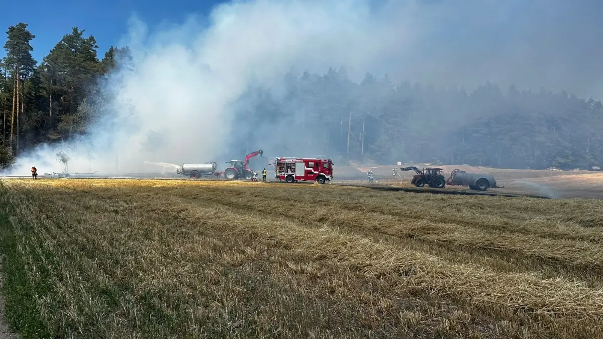 Der Wind ließ den Brand vom Wald auf zwei Felder übergreifen.
