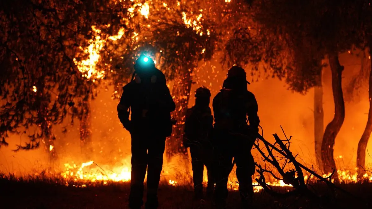 Feuerwehrleute löschen die Flammen während eines Waldbrandes in Asprochori, Oropos, Attika.