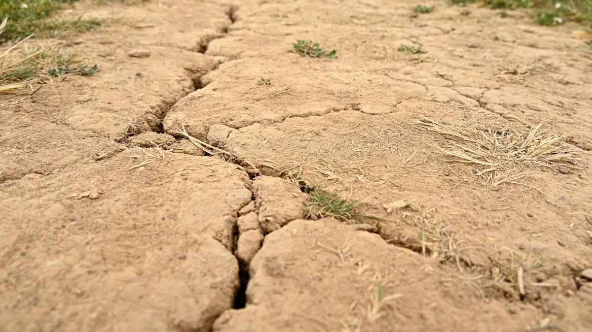 Hitze: Einfach nur Sommerwetter oder Folge des Klimawandels?: Ausgetrockneter Boden im Sommer in Hessen (Themenfoto vom 19.07.2023). Nach der Rekordhitzewelle Ende Juni mit tausenden Todesfaellen sagen die Wetterprognosen erneut Temperaturen von bis zu 39 Grad in Teilen Deutschlands voraus. Ist das noch erwartbares Sommerwetter - oder eine Folge des Klimawandels? (Siehe epd-Hintergrund vom 29.07.2026) *** Local Caption *** 00491431
