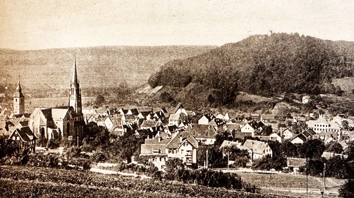 Stadtansicht aus dem "Führer für den Luftkurort Nagold“ von 1914.