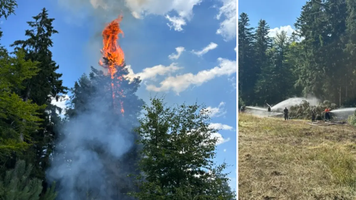 Im Wald bei Enzklösterle ist am Mittwoch ein Feuer ausgebrochen.