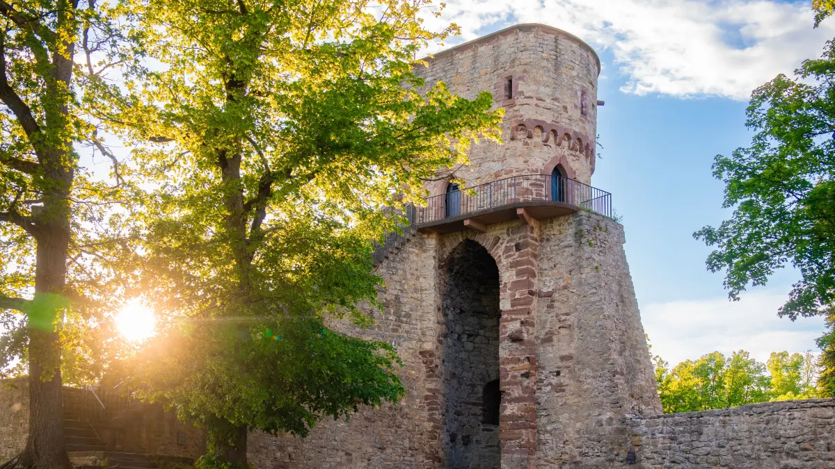 Ein geschichtsträchtiger Ort: die Burgruine Hohennagold.