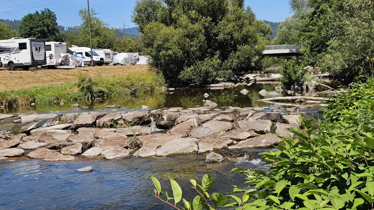 Kaum mehr als Fließgewässer zu bezeichnen ist das Flüsschen Wiese, hier an der Rampe in Ehner-Fahrnau. Der Pegelstand in Zell liegt aktuell bei 6 Zentimetern und einem Durchfluss von nur noch 0,6 Kubikmetern pro Sekunde.