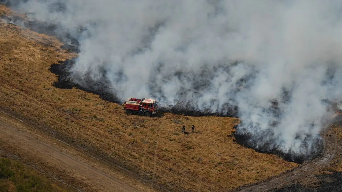 Ares: Feuerwehrleute bekämpfen einen Brand in der Nähe von Ares während der Waldbrände im Südwesten Frankreichs.