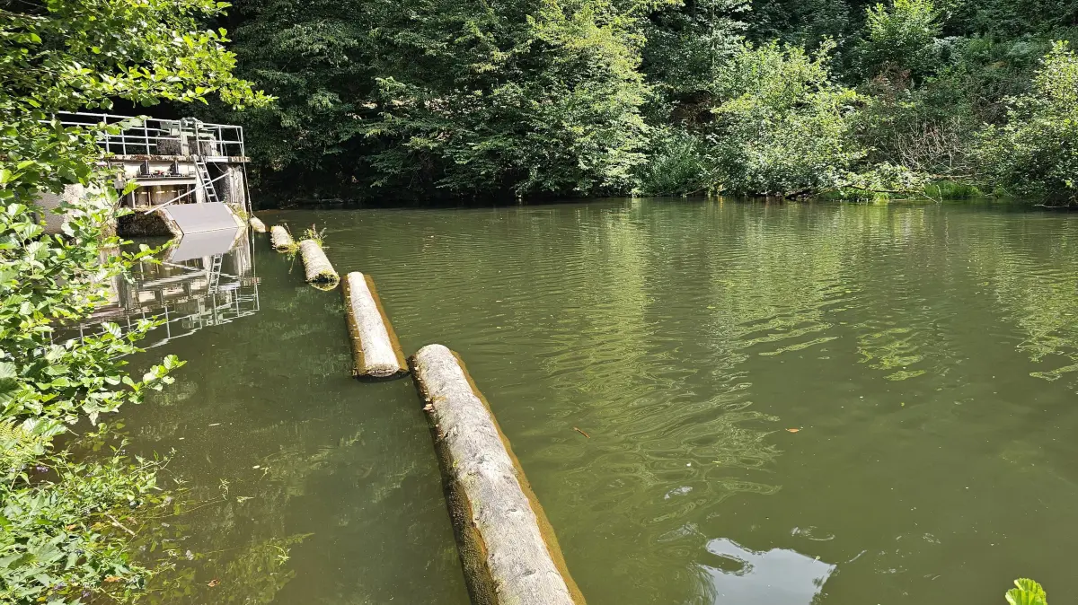 Der Stauweiher des Wasserkraftwerks Köhlgartenwiese