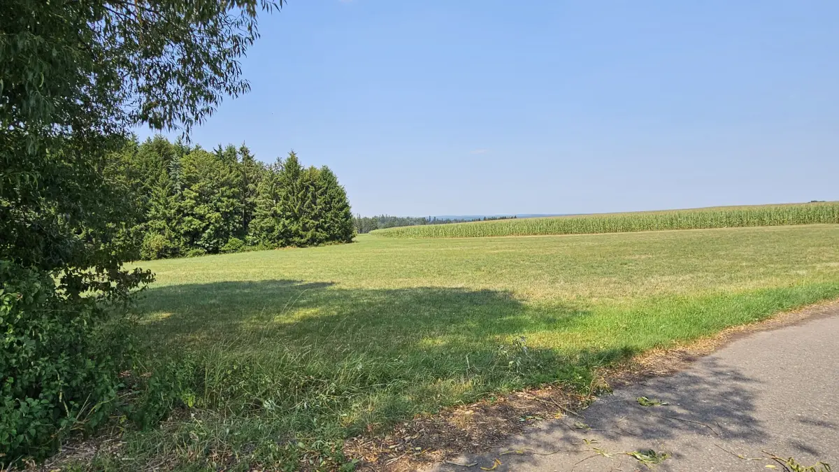 Auf diesem Grundstück an der Pfalzgrafenweiler Straße bei Spielberg wollte ein Projektentwickler Freiflächensolaranlagen bauen.