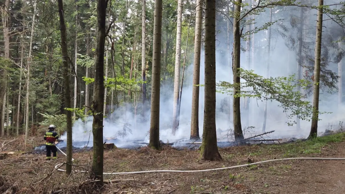 Rund 60 Einsatzkräfte helfen beim Löschen der brennenden Waldfläche.