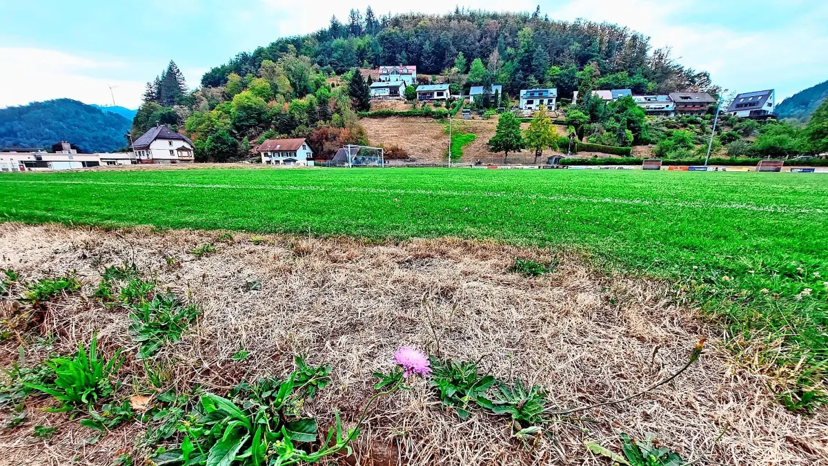 Der Fußballplatz des FC Wolfach ist durch die Bewässerung noch grün.