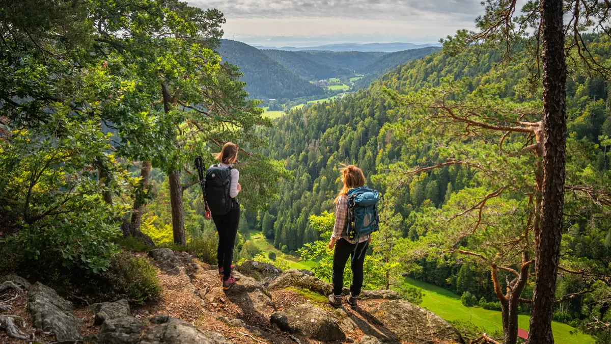 Vom Bildsteinfelsen bietet sich ein herrlicher Blick über das Albtal.