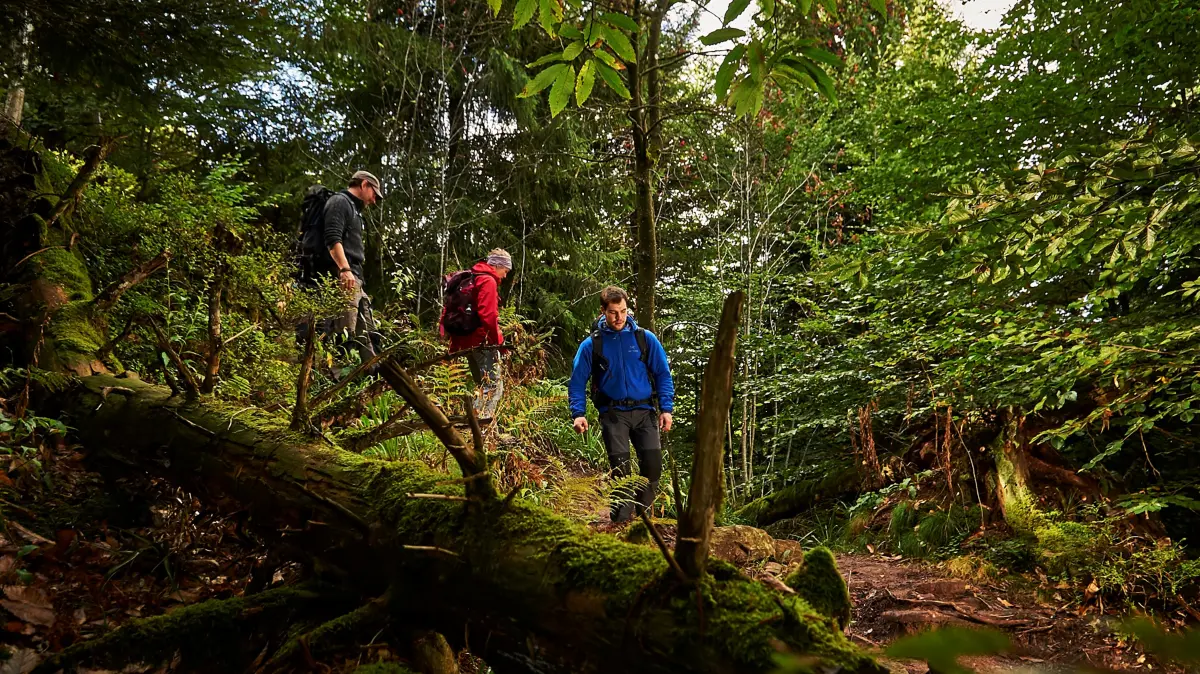 Über Stock und Stein führt die Wanderung manchmal quer durchs Gelände.