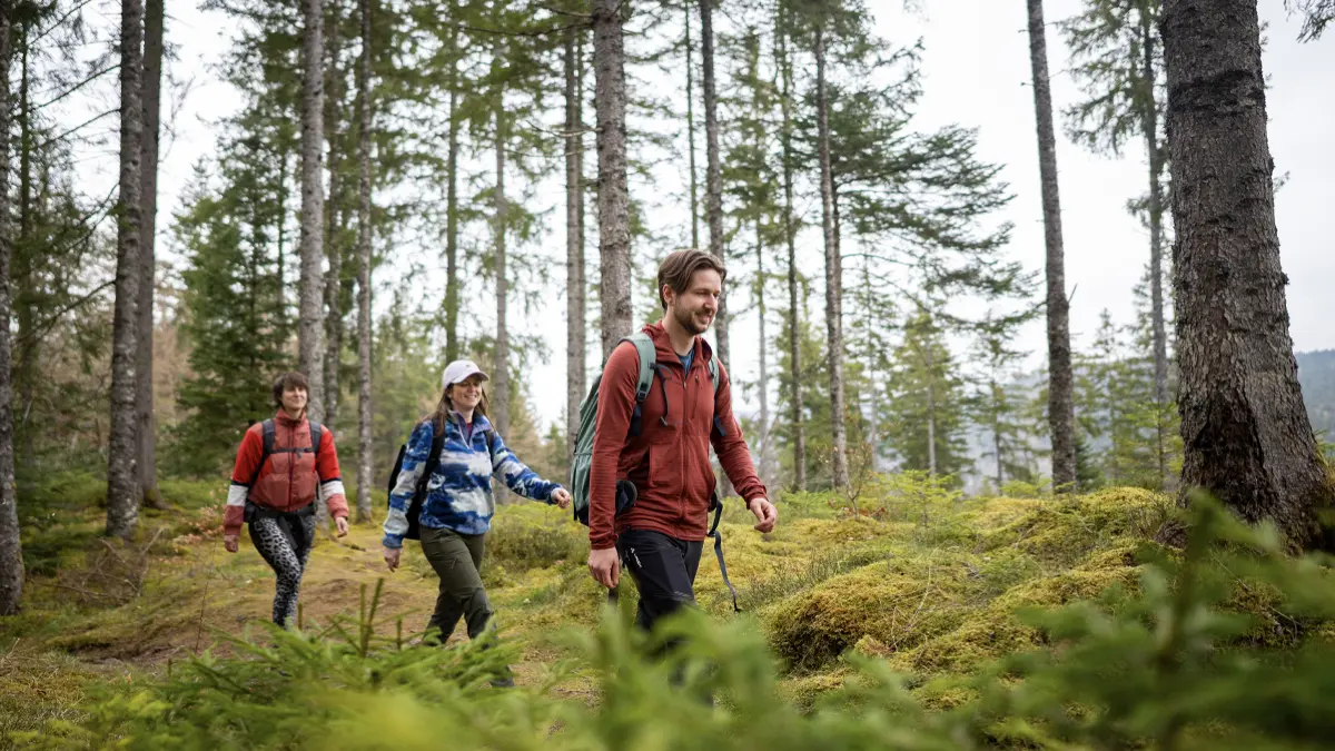 Schattige Waldpfade bieten ein entspanntes Wandervergnügen.