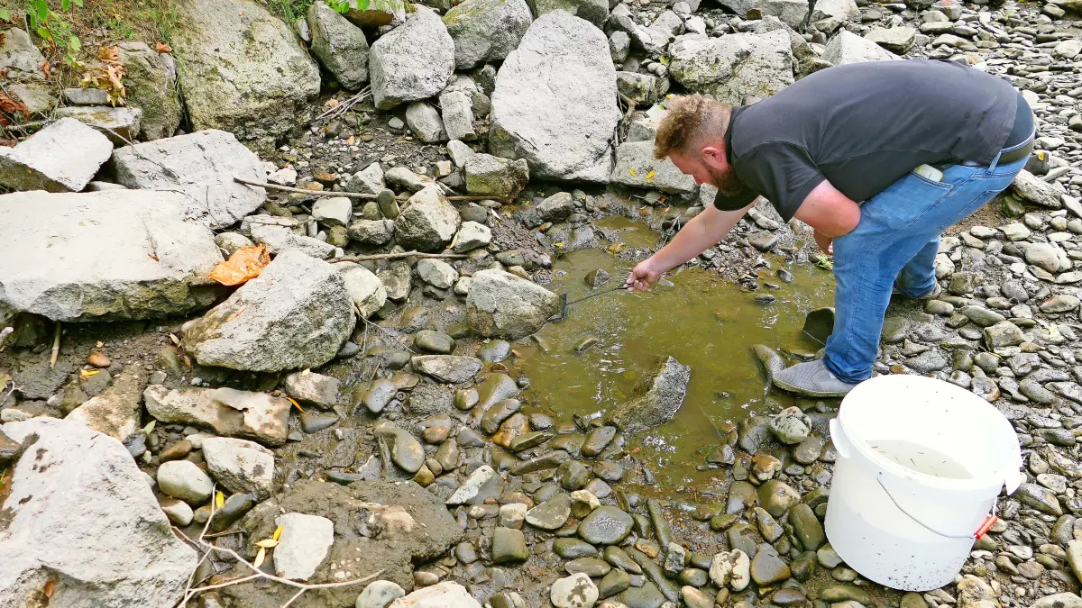 Stefan Fürst rettet, ausgerüstet mit Kescher und Eimer, die Fische und Lebewesen aus den Gumpen im ausgetrockneten Flussbett der Breg.