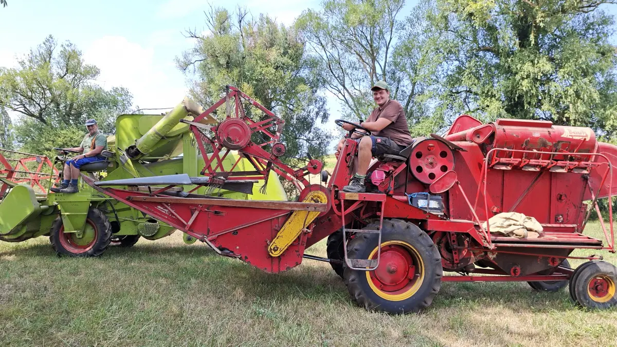 Landwirt Frieder Gerwig und Enkel Paul Nowak auf den historischen Mähdreschern