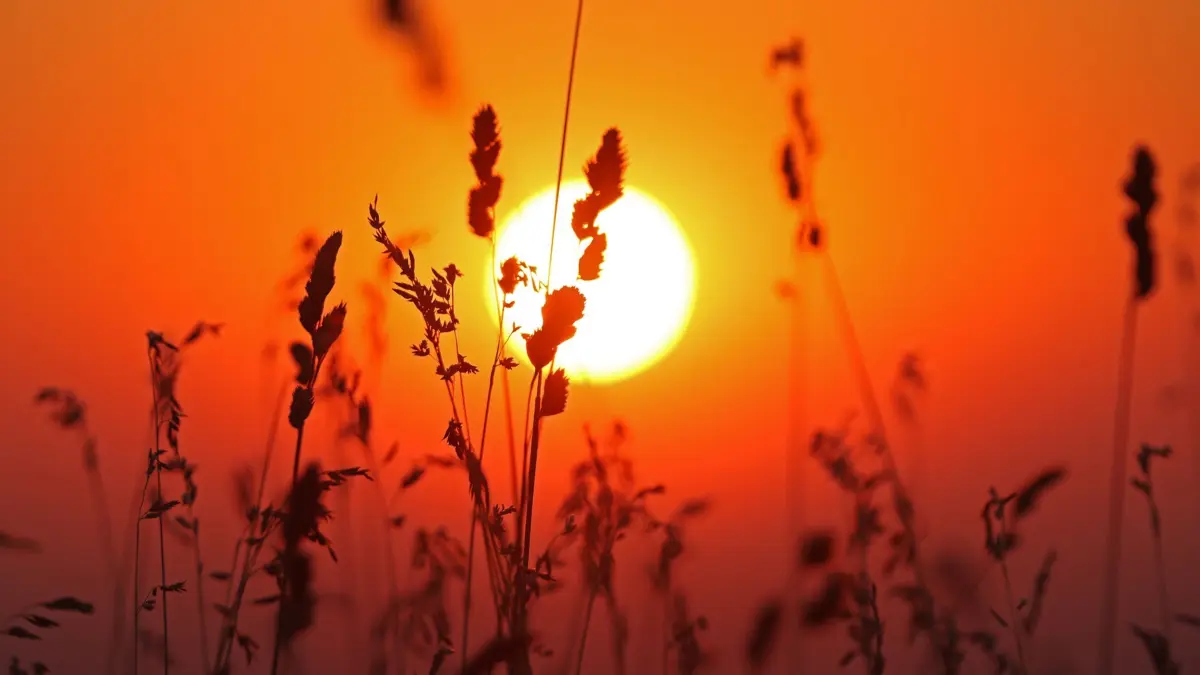 Möglicher Temperaturrekord auf dem Brocken: ARCHIV - 30.07.2026, Sachsen-Anhalt, Brocken: Die aufgehende Sonne färbt den Himmel am Brocken in ein warmes orange. (zu dpa: «Bis zu 36 Grad und Unwetter: Wetterdienst warnt vor Hitze») Foto: Matthias Bein/dpa +++ dpa-Bildfunk +++
