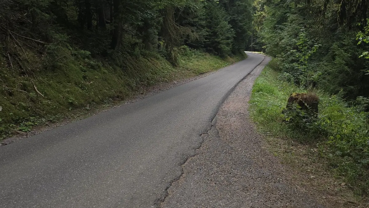Schenkenzeller Teil der Steigstraße zwischen Aichhalden und Schiltach