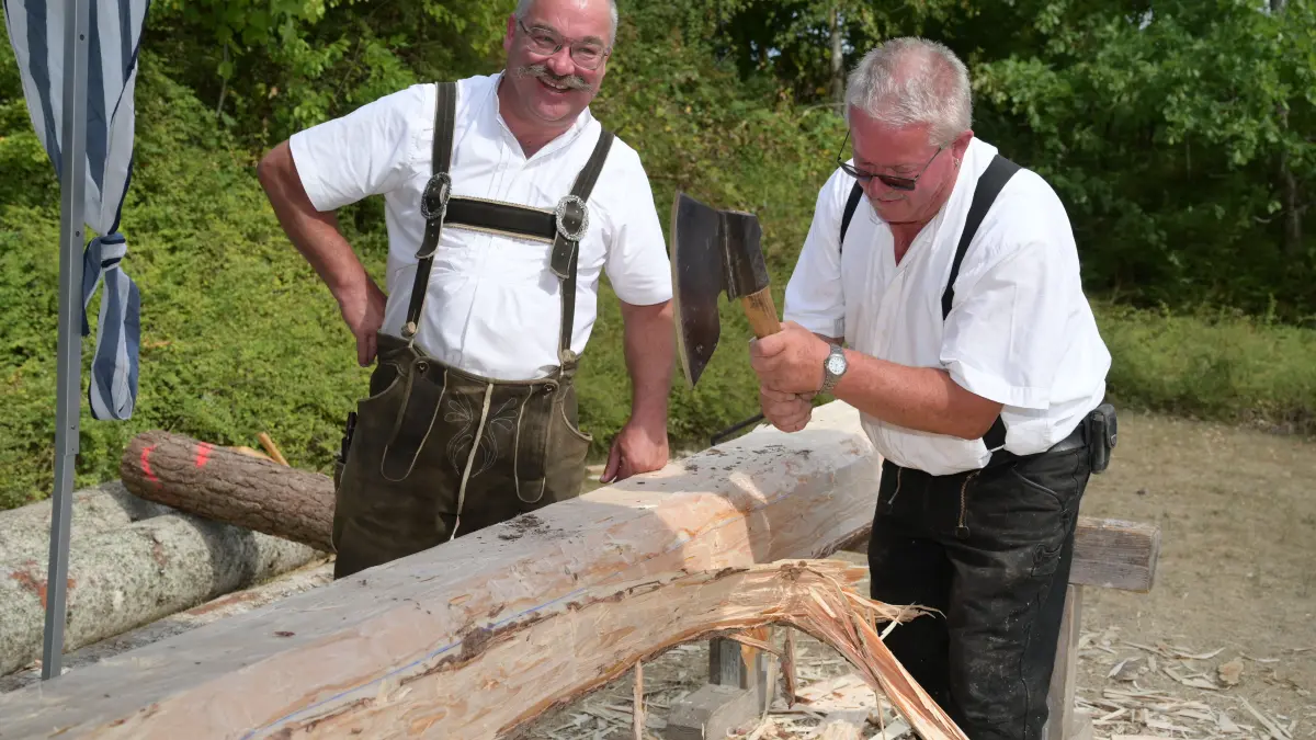 Die Teuchelbohrer spalten große Stämme.