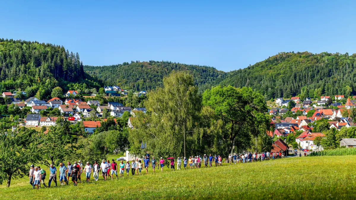 Auf dem Weg in den kühleren Wald: Rund 130 Teilnehmer zählte die erste Meßstetter Ferienwanderung 2026, die rund um Tieringen ging.