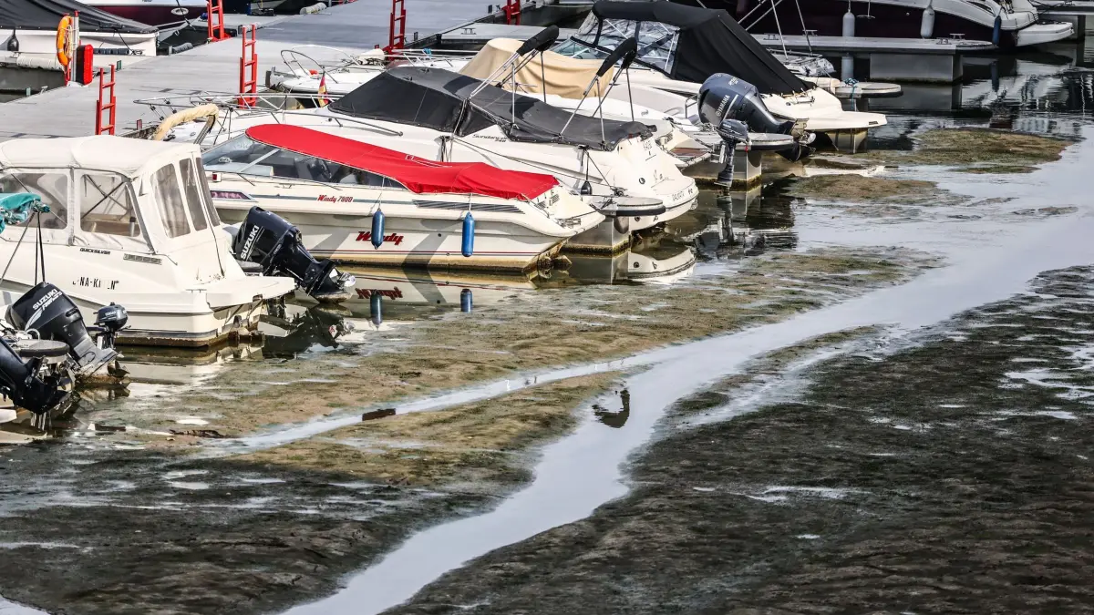 Niedrigwasser am Rhein in Köln: ARCHIV - 31.07.2026, Nordrhein-Westfalen, Köln: Boote liegen im Rheinauhafen auf Grund. (zu dpa: «Zu wenig Regen für Trendwende am wichtigen Rhein») Foto: Oliver Berg/dpa +++ dpa-Bildfunk +++