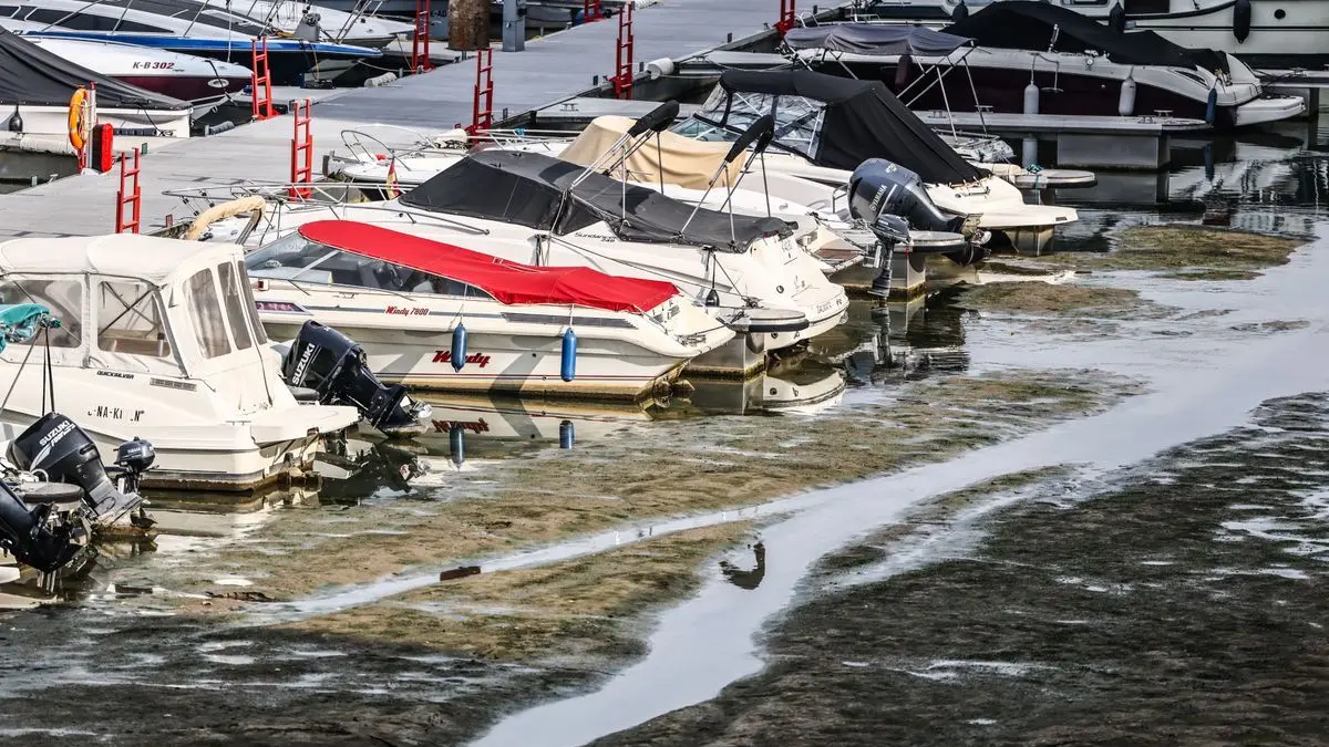 Köln: Boote liegen im Rheinauhafen auf Grund.