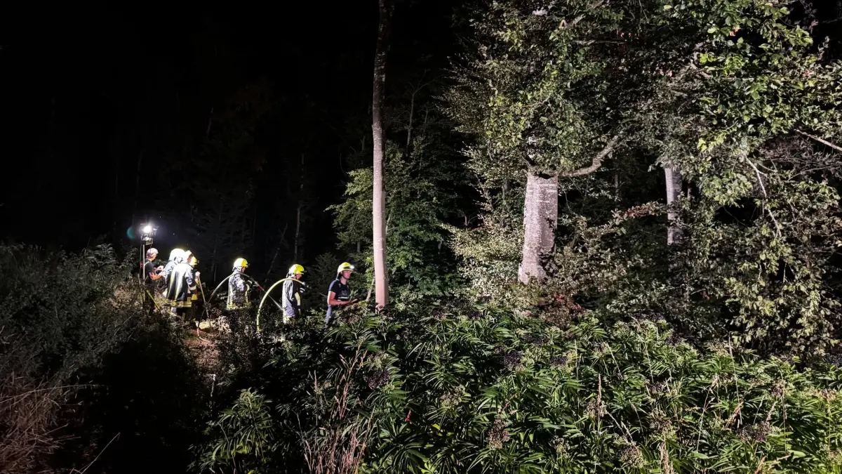 Die Einsatzkräfte der Sulzer Feuerwehr sind derzeit ordentlich gefordert. Wie hier beim Vegetationsbrand am Waldrand nahe des Birkhofs auf der Schillerhöhe am Dienstagabend.