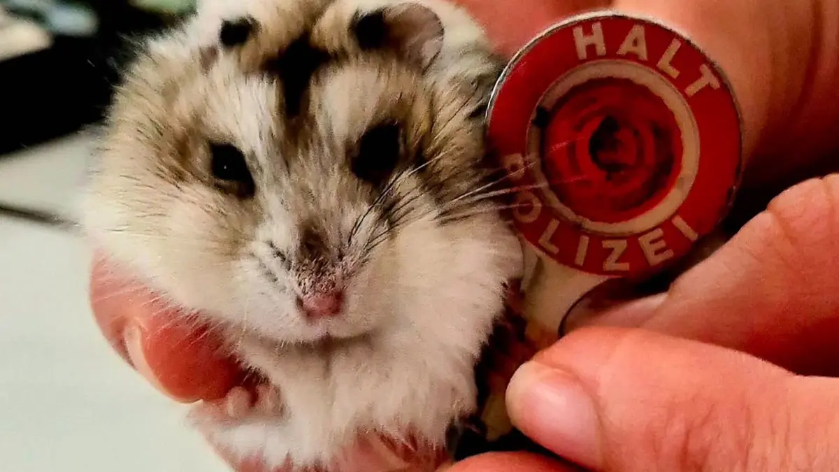 Der Hamster erhielt sogar seine eigene Amtskelle.