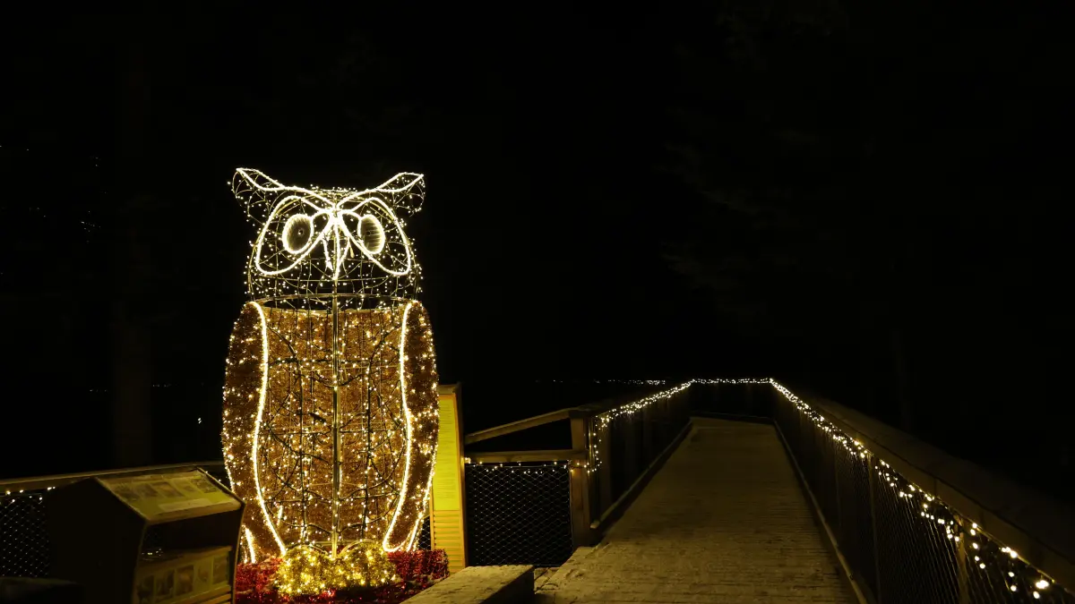 Lichterzauber Bad Wildbad