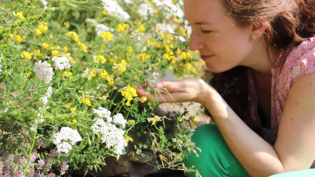 Marie Holler an Blüten