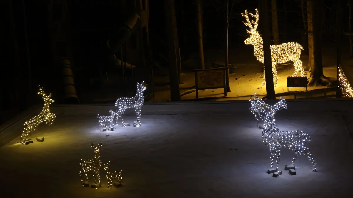Lichterzauber Bad Wildbad