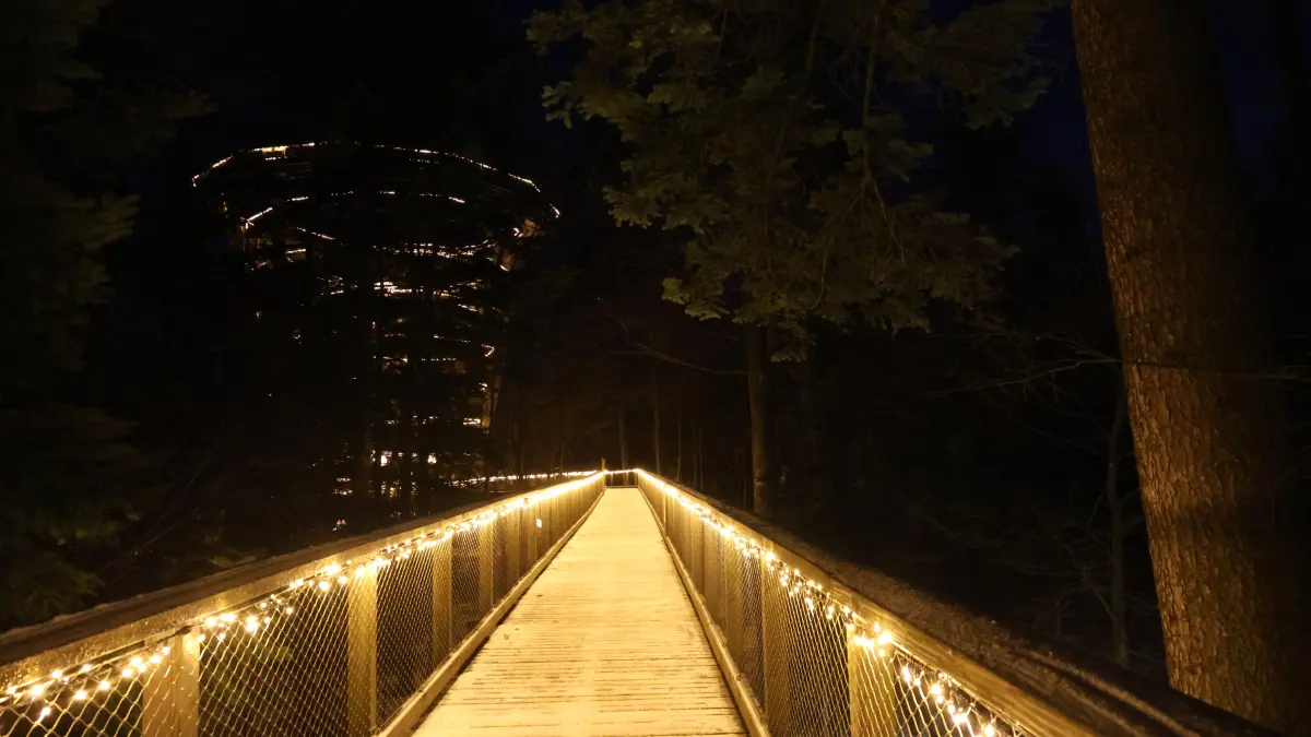 Lichterzauber Bad Wildbad