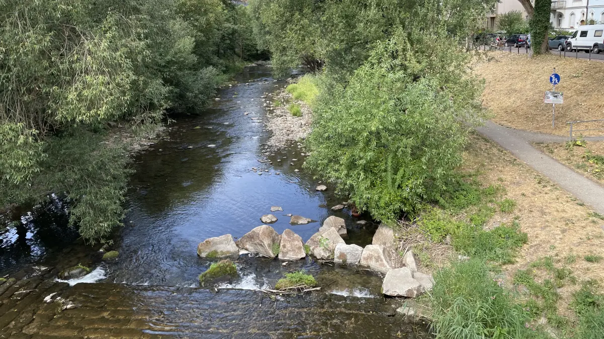 Auf diesem Abschnitt der Dreisam – unterhalb der Ganter-Brauerei - ist künftig das Baden bei Niedrigwasser verboten.