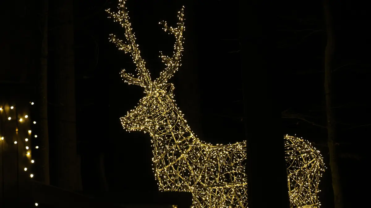 Lichterzauber Bad Wildbad