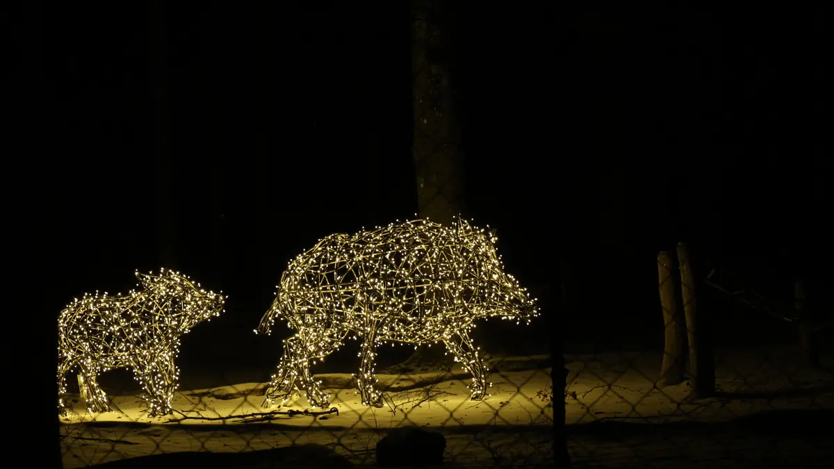 Lichterzauber Bad Wildbad