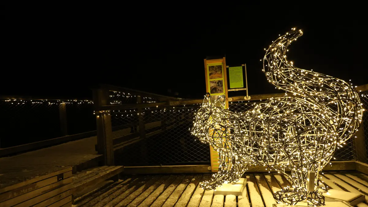 Lichterzauber Bad Wildbad