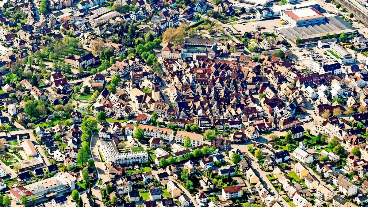 In Haslach sollen Pflanzen und Tieren gute Bedingungen geschaffen werden.